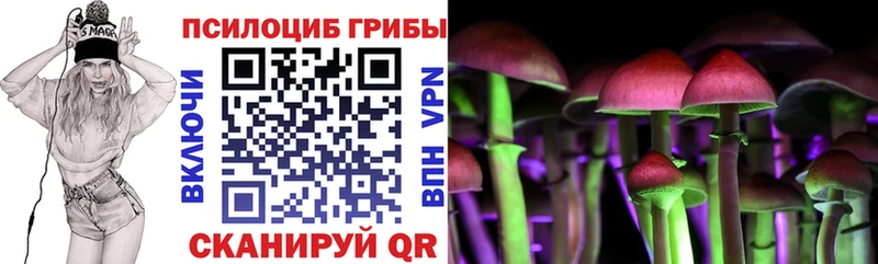 Псилоцибиновые грибы мухоморы  купить   даркнет Telegram  Западная Двина 