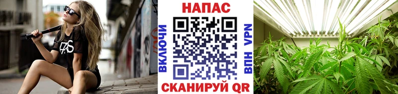 Бошки марихуана план  mega tor  Западная Двина 
